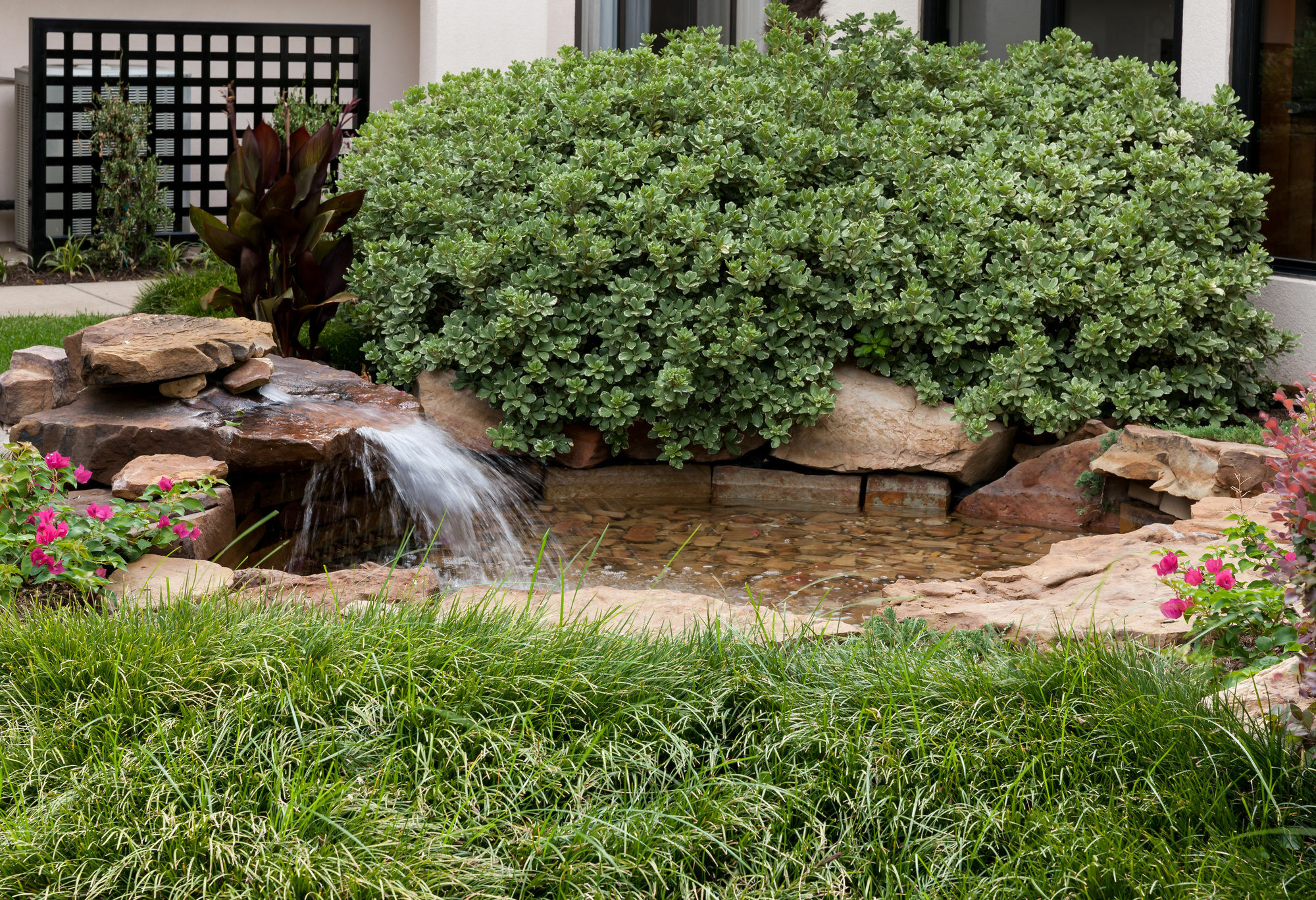 Hotel Courtyard By Marriott Waco Exterior foto